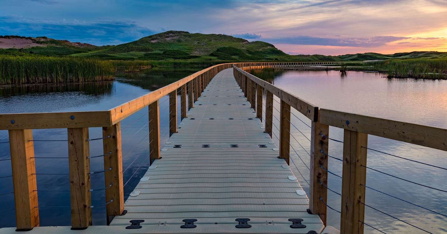 EZ Dock trail, long trail across lake